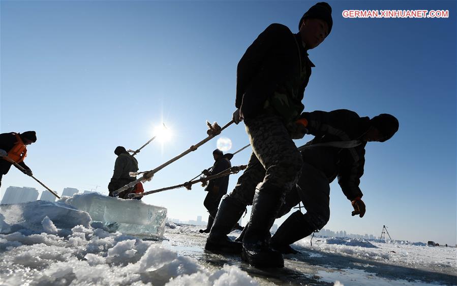 CHINA-HEILONGJIANG-HARBIN-ICE COLLECTING (CN)