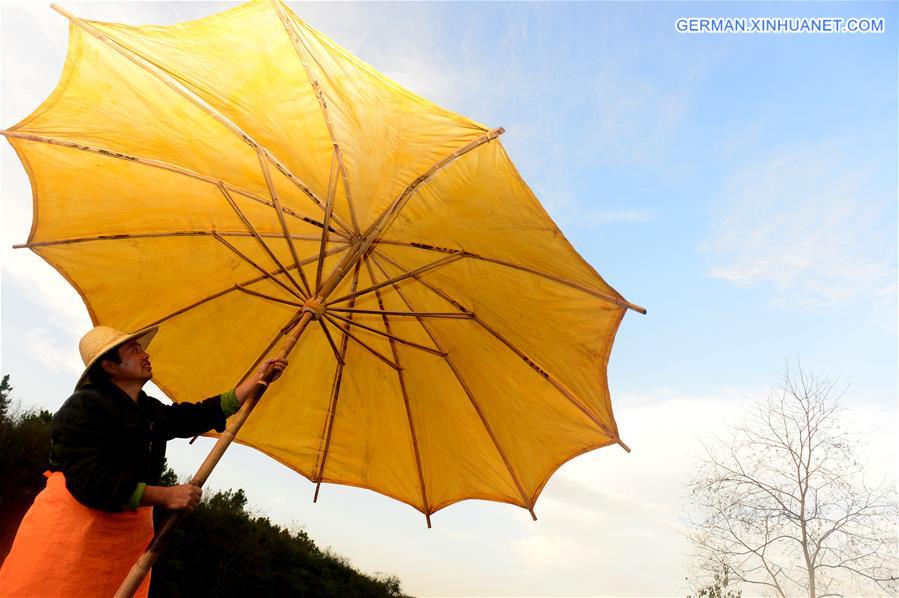 CHINA-ANHUI-JINGXIAN-OILCLOTH UMBRELLA(CN) 