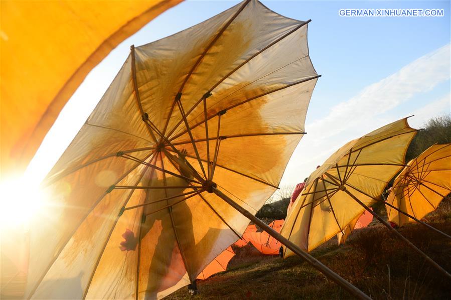 CHINA-ANHUI-JINGXIAN-OILCLOTH UMBRELLA(CN) 