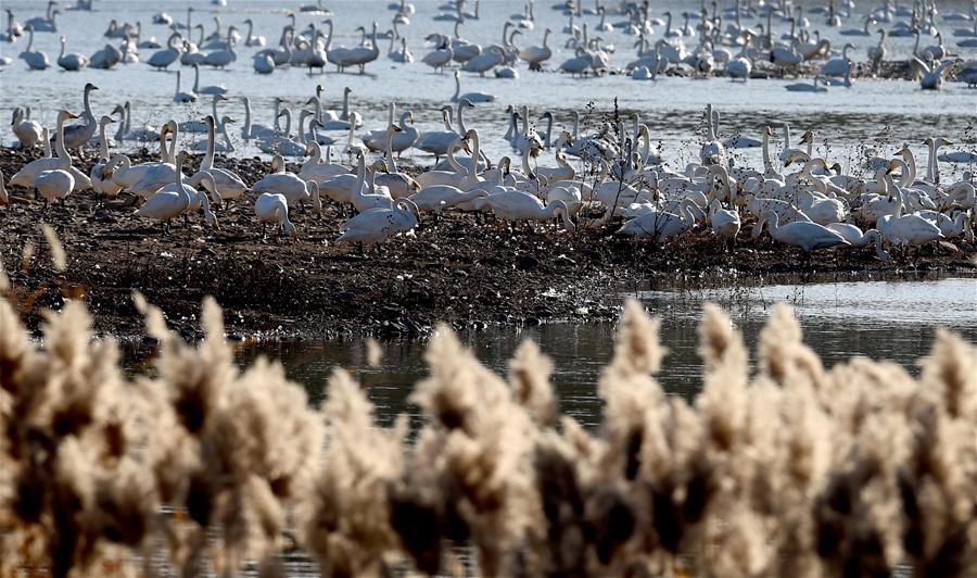 XINHUA PHOTO WEEKLY CHOICES