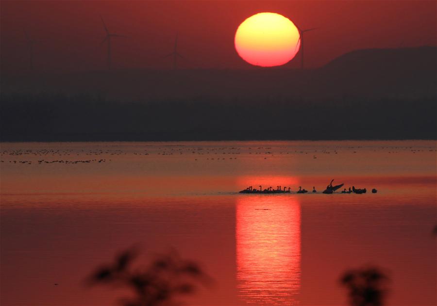 XINHUA PHOTO WEEKLY CHOICES