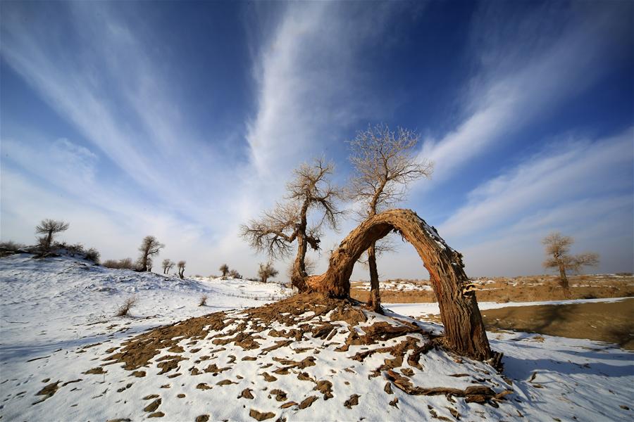 XINHUA PHOTO WEEKLY CHOICES