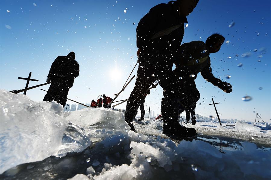 XINHUA PHOTO WEEKLY CHOICES