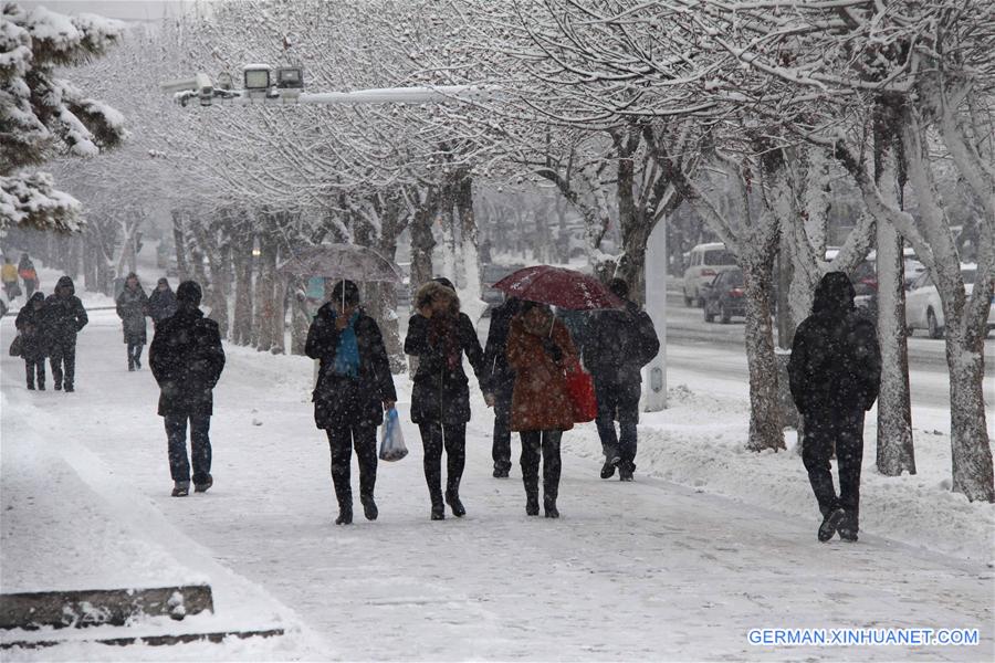 #CHINA-XINJIANG-ALTAY-HEAVY SNOW (CN)