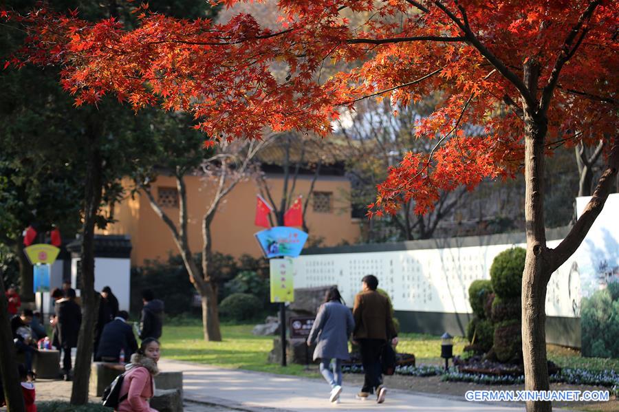 #CHINA-JIANGSU-NANTONG-MAPLE LEAVES (CN) 