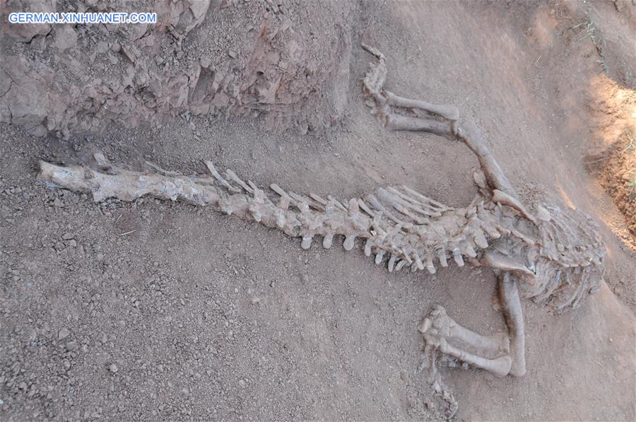 CHINA-YUNNAN-DINOSAUR FOSSILS (CN)