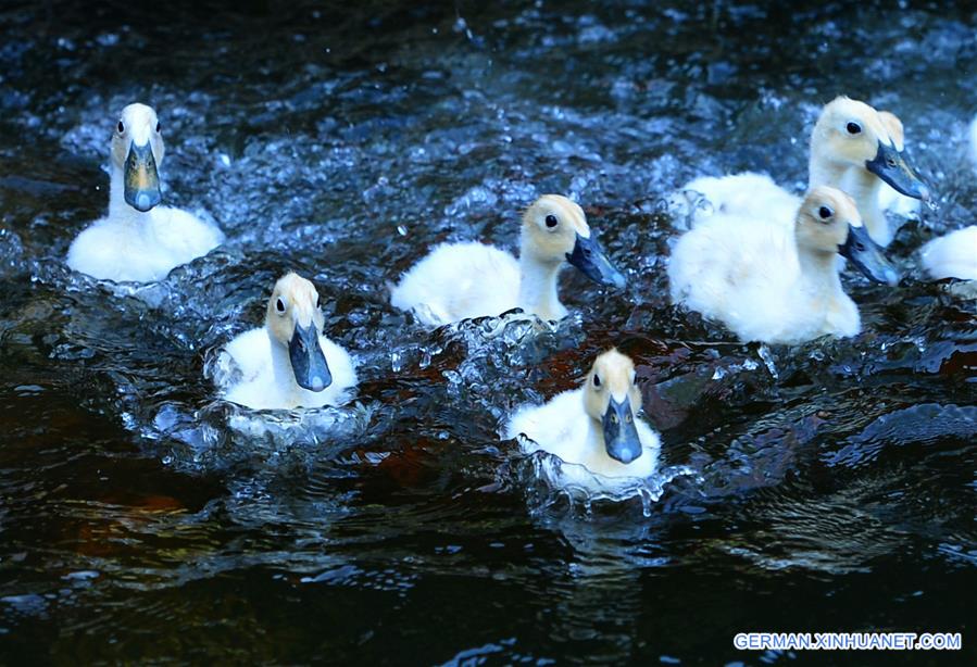 CHINA-FUJIAN-LIANCHENG-WARMTH (CN)