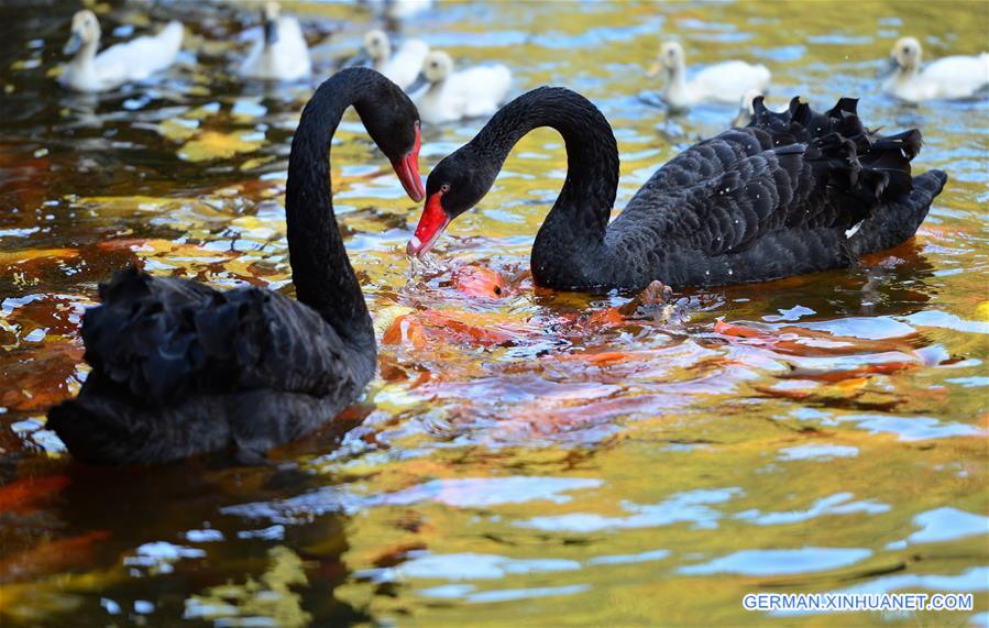 CHINA-FUJIAN-LIANCHENG-WARMTH (CN)