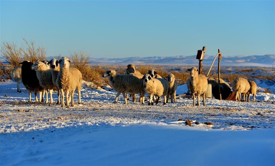 CHINA-INNER MONGOLIA-XILINGOL-SNOW (CN)