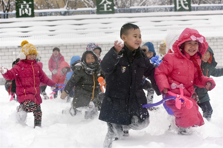 CHINA-XINJIANG-URUMQI-SNOWSTORM (CN)