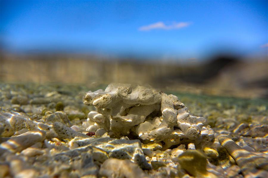 CHINA-HAINAN-SANSHA-UNDERWATER SCENERY (CN)