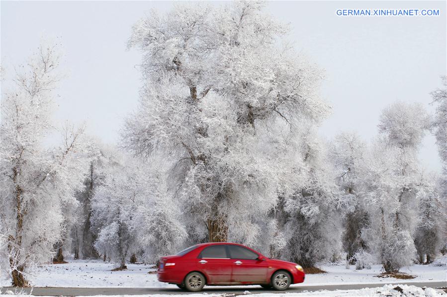 #CHINA-XINJIANG-RIME SCENERY (CN)