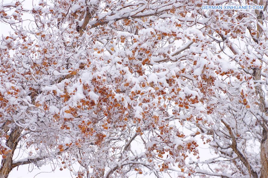 #CHINA-XINJIANG-RIME SCENERY (CN)