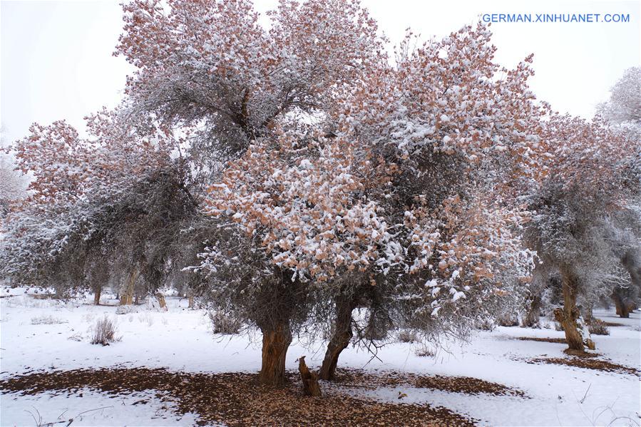 #CHINA-XINJIANG-RIME SCENERY (CN)