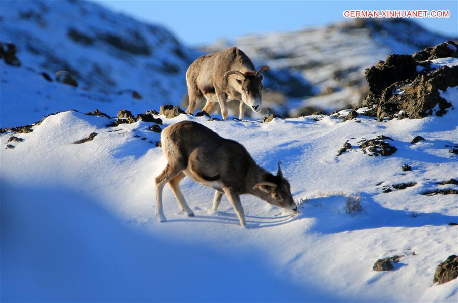 XINHUA PHOTO WEEKLY CHOICES