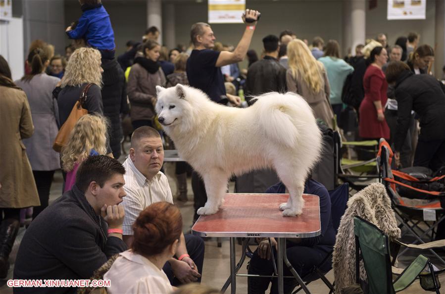 LITHUANIA-VILNIUS-INTERNATIONAL DOG EXHIBITION