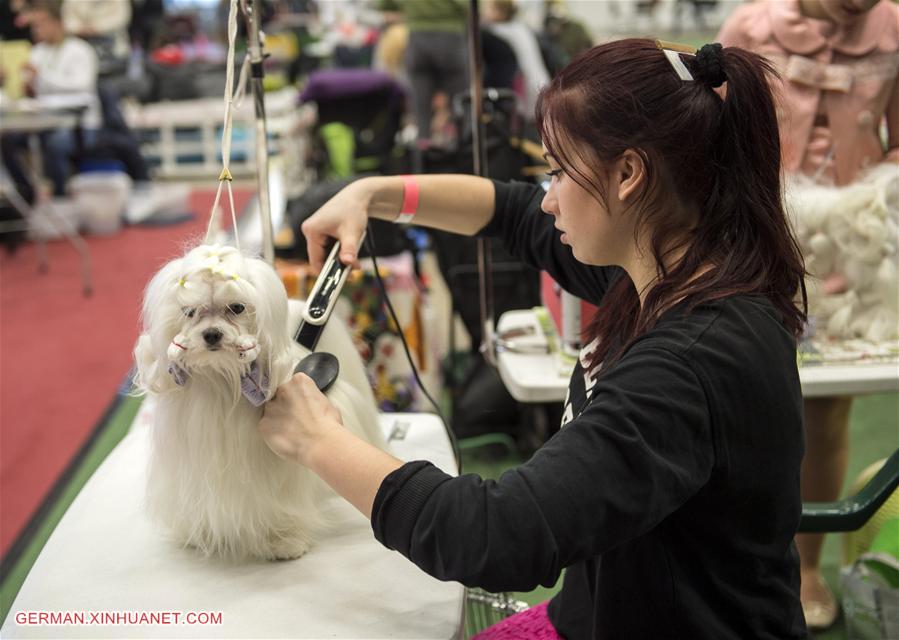 LITHUANIA-VILNIUS-INTERNATIONAL DOG EXHIBITION