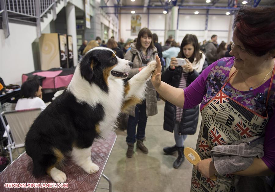 LITHUANIA-VILNIUS-INTERNATIONAL DOG EXHIBITION