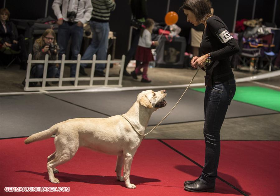 LITHUANIA-VILNIUS-INTERNATIONAL DOG EXHIBITION