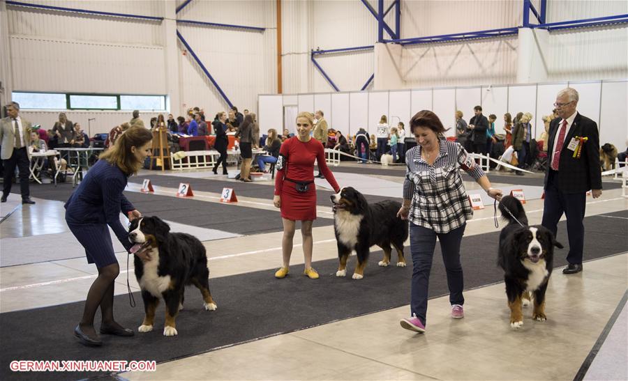 LITHUANIA-VILNIUS-INTERNATIONAL DOG EXHIBITION