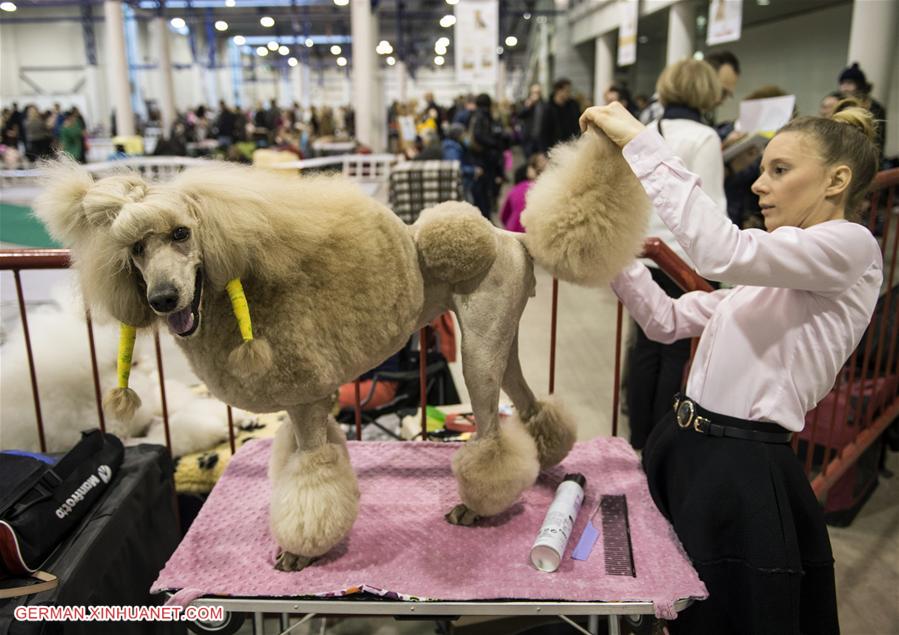 LITHUANIA-VILNIUS-INTERNATIONAL DOG EXHIBITION