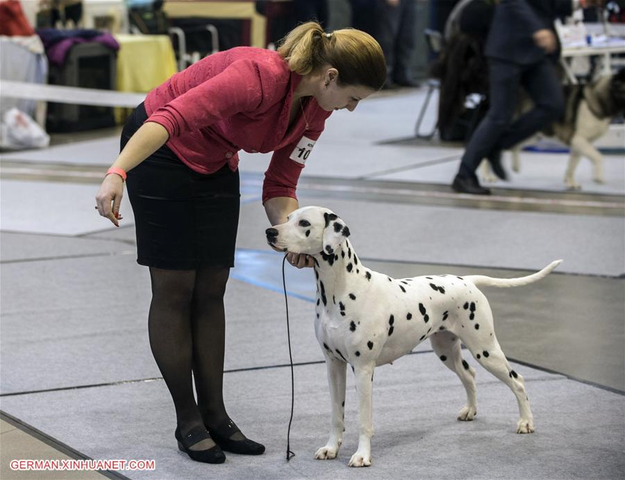 LITHUANIA-VILNIUS-INTERNATIONAL DOG EXHIBITION