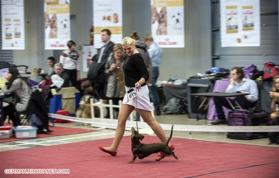 LITHUANIA-VILNIUS-INTERNATIONAL DOG EXHIBITION