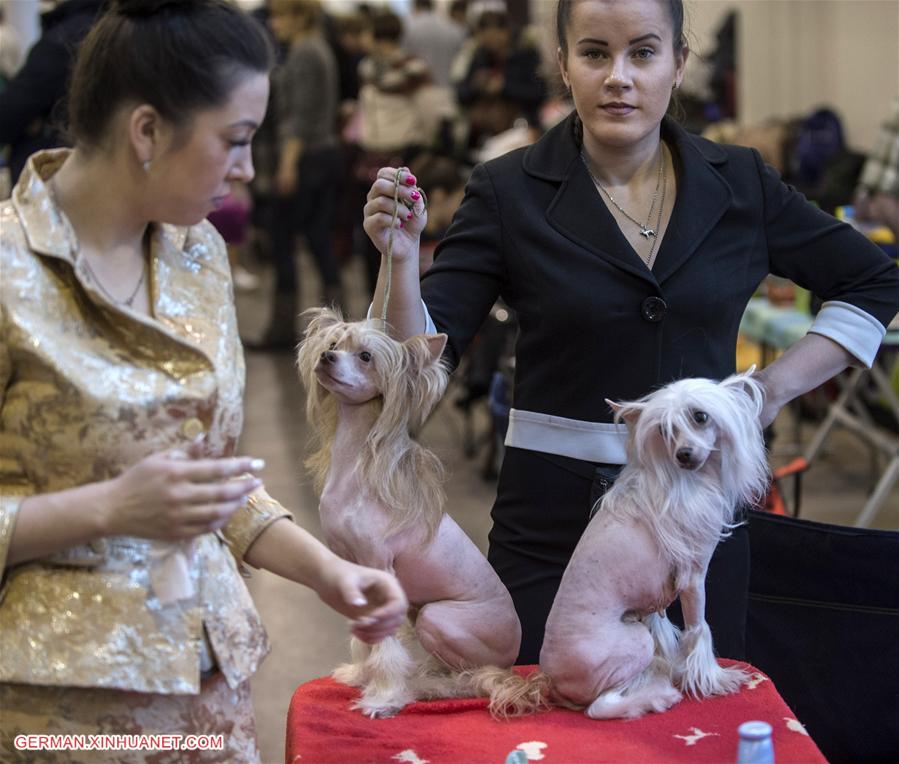 LITHUANIA-VILNIUS-INTERNATIONAL DOG EXHIBITION