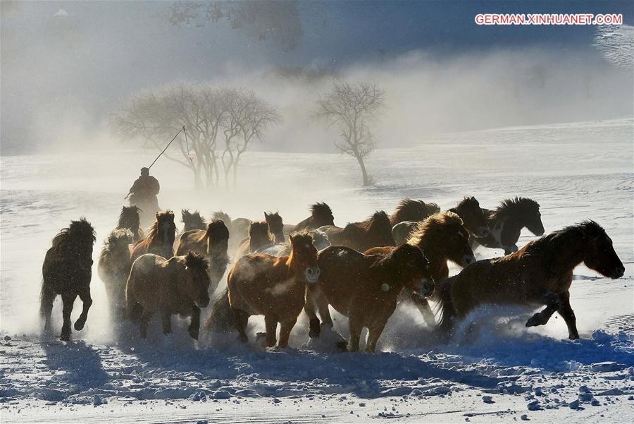 #CHINA-INNER MONGOLIA-BASHANG PASTURE-HORSES (CN)