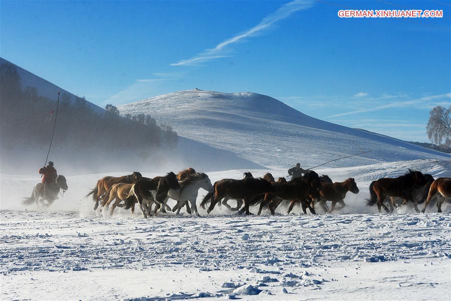 #CHINA-INNER MONGOLIA-BASHANG PASTURE-HORSES (CN)