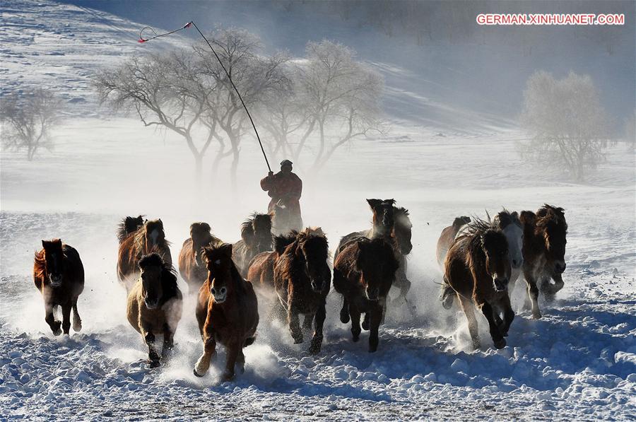 #CHINA-INNER MONGOLIA-BASHANG PASTURE-HORSES (CN)