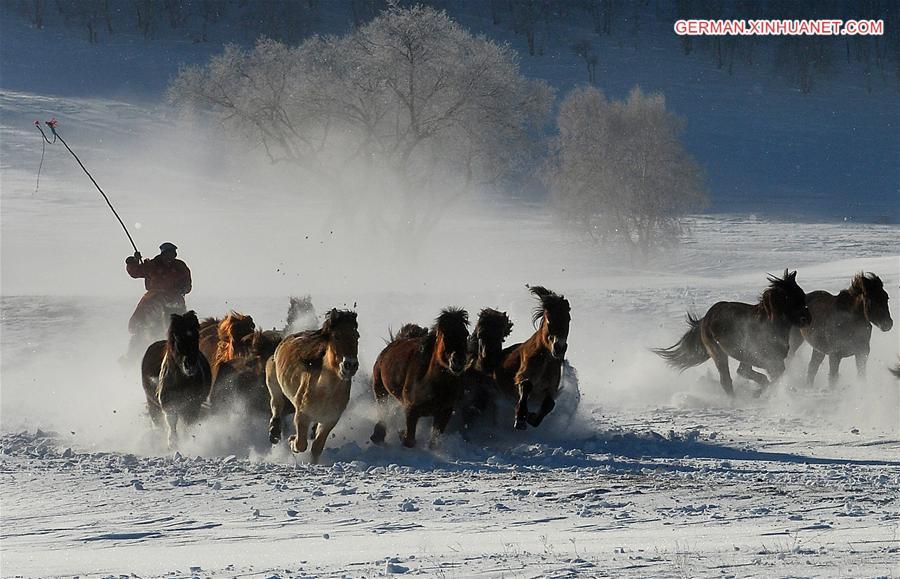 #CHINA-INNER MONGOLIA-BASHANG PASTURE-HORSES (CN)