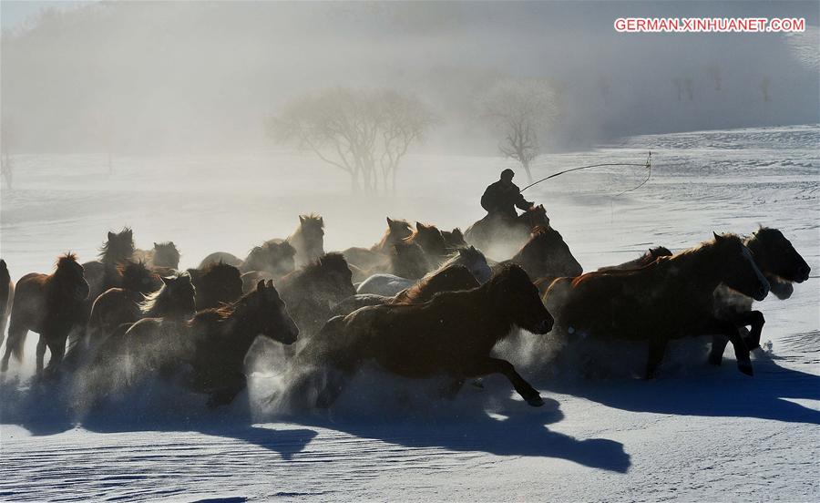 #CHINA-INNER MONGOLIA-BASHANG PASTURE-HORSES (CN)