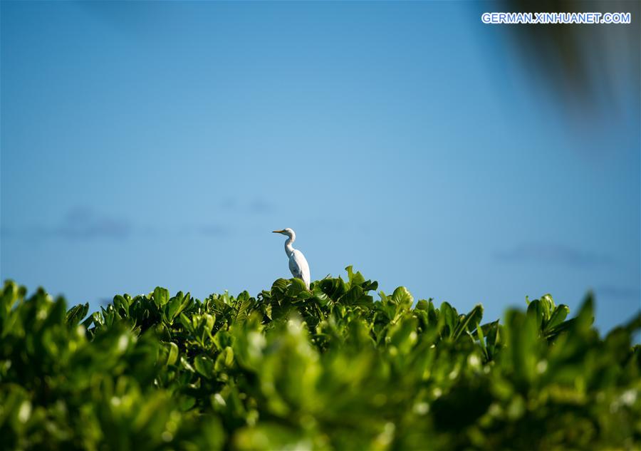 CHINA-HAINAN-SANSHA-SCENERY (CN)