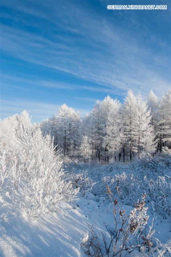 CHINA-HEILONGJIANG-GREATER KHINGAN-WINTER-SCENERY(CN) 