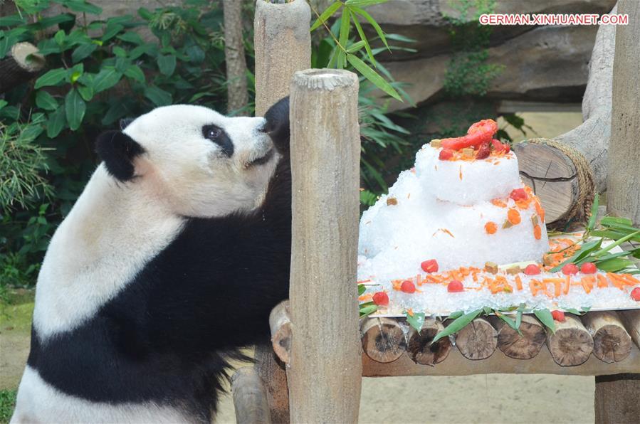 （国际·年终报道）（5）全世界都爱大熊猫