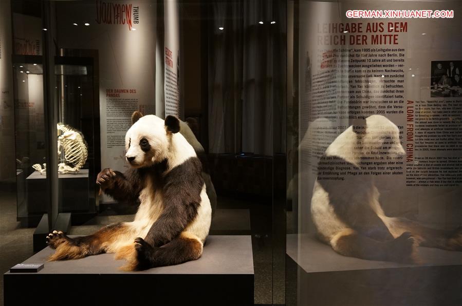 （国际·年终报道）（13）全世界都爱大熊猫