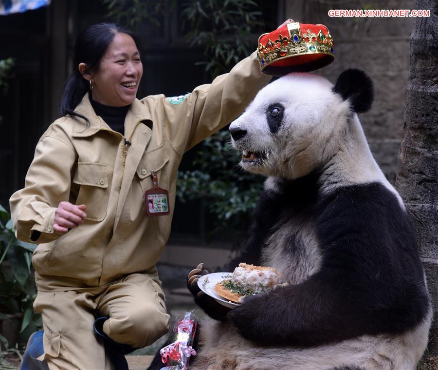 （国际·年终报道）（2）全世界都爱大熊猫