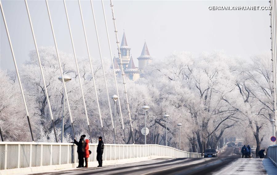 CHINA-HARBIN-RIME SCENERY (CN)