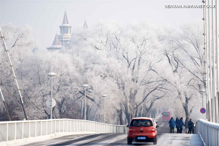 CHINA-HARBIN-RIME SCENERY (CN)