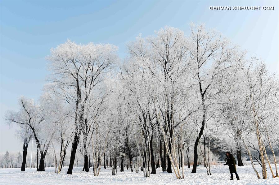 CHINA-HARBIN-RIME SCENERY (CN)