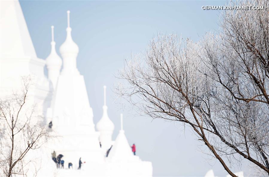 CHINA-HARBIN-RIME SCENERY (CN)