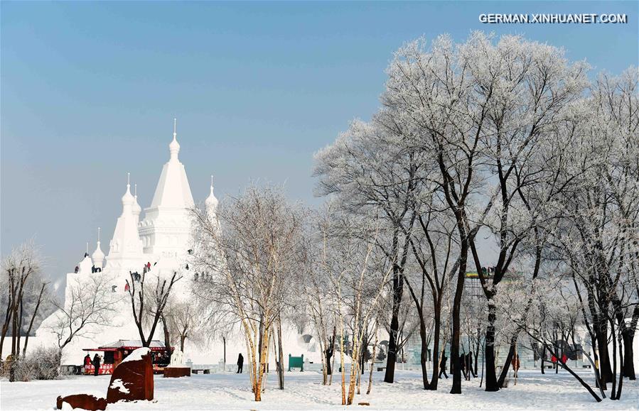 CHINA-HARBIN-RIME SCENERY (CN)