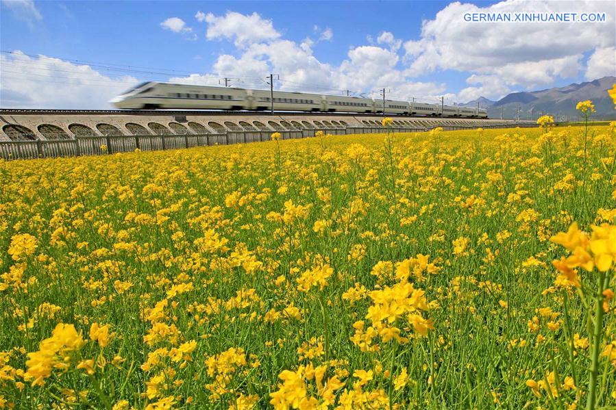 #CHINA-HAMI-HIGH SPEED RAILWAY-ANNIVERSARY(CN)