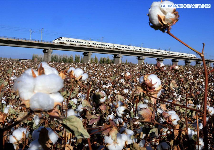 #CHINA-HAMI-HIGH SPEED RAILWAY-ANNIVERSARY(CN)