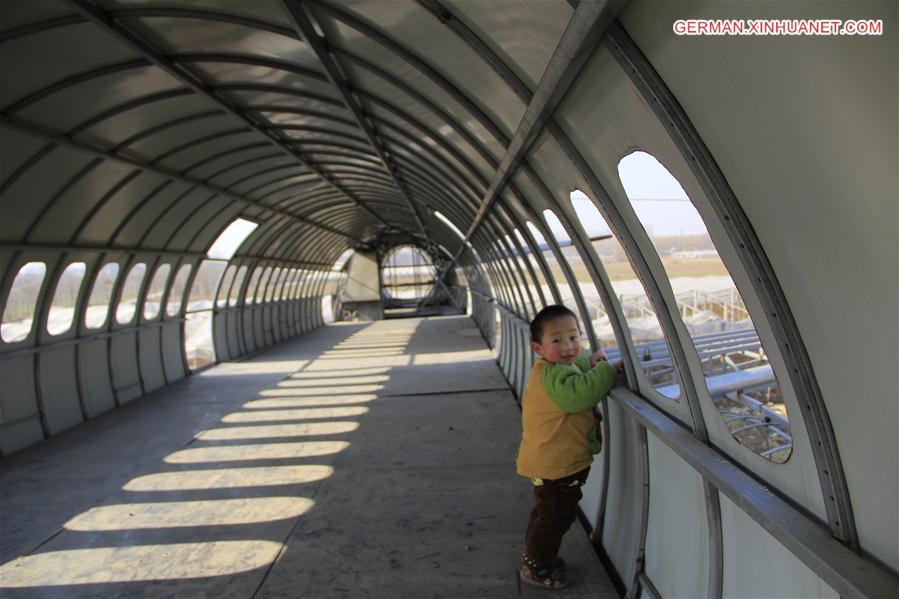 #CHINA-HENAN-FARMER-PLANE MODEL (CN)