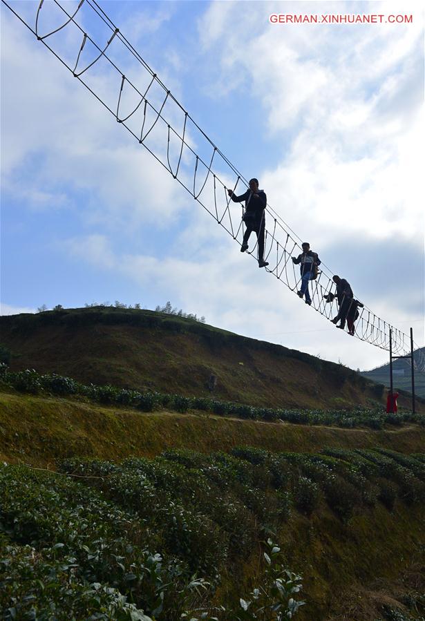 #CHINA-HUBEI-XUAN'EN-TEA PARK-AERIAL CORRIDOR(CN)