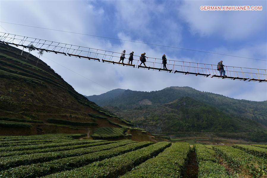 #CHINA-HUBEI-XUAN'EN-TEA PARK-AERIAL CORRIDOR(CN)