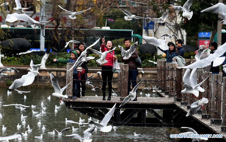 CHINA-KUNMING-NEW YEAR (CN)