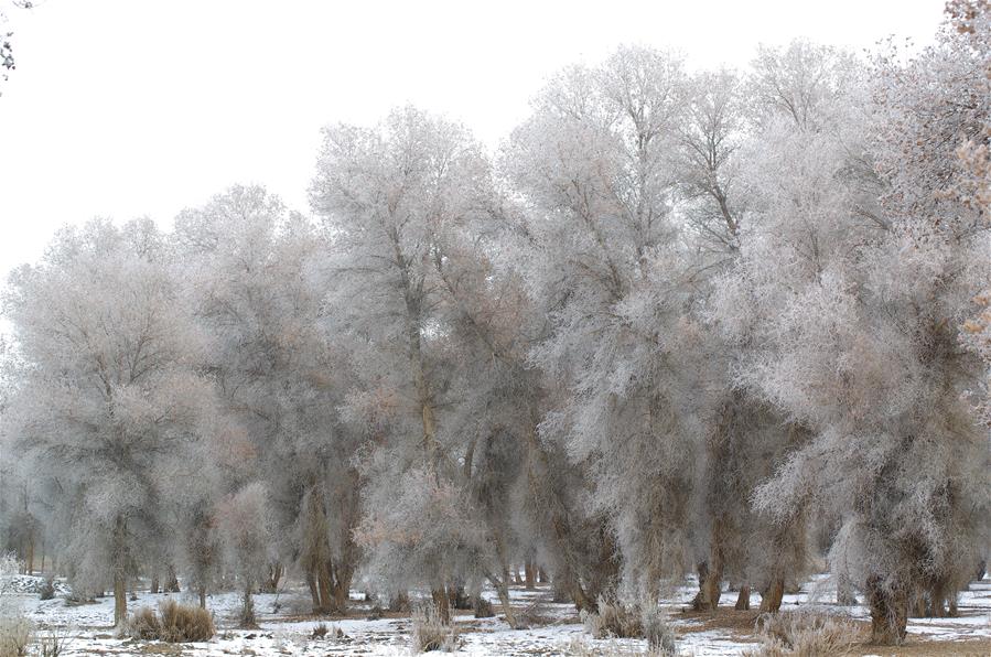 #CHINA-XINJIANG-RIME SCENERY (CN) 